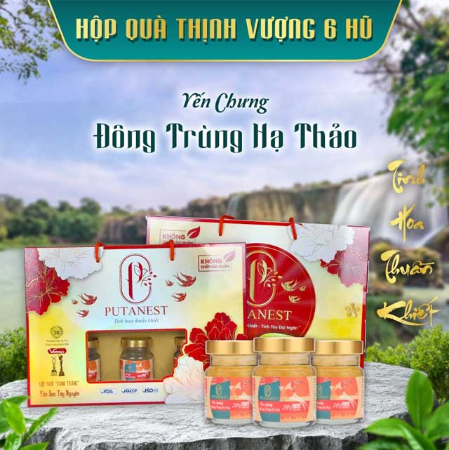 Hộp Thịnh Vượng 6 Hũ Yến Chưng Cao Cấp Đông Trùng Hạ Thảo 28%