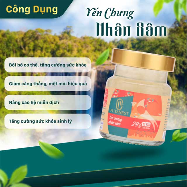 Hộp Thịnh Vượng 6 Hũ Yến Chưng Cao Cấp Nhân Sâm 28%